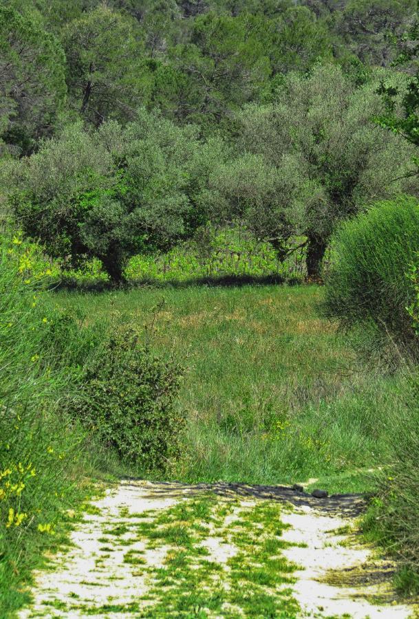 La Bastide de Canaules Exterior foto